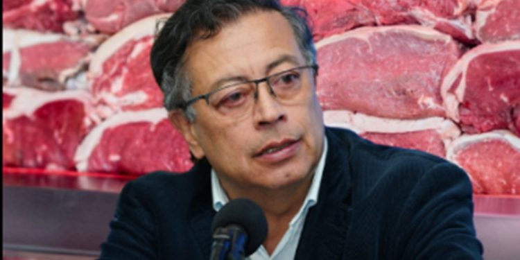 Ganaderos del Caribe rechazan propuesta de suspender exportación de carne