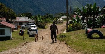 Informe de la ONU revela que el conflicto armado persiste y supera en 2025 los límites de derechos humanos