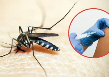 Dengue: Atlántico despliega plan piloto de vacunación y prioriza a Malambo