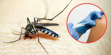 Dengue: Atlántico despliega plan piloto de vacunación y prioriza a Malambo
