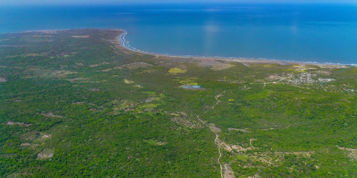 Desde el cielo al mercado: Lagos de Altamira entra en subasta como uno de los terrenos más grandes del Caribe colombiano
