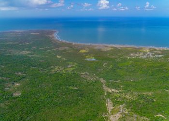 Desde el cielo al mercado: Lagos de Altamira entra en subasta como uno de los terrenos más grandes del Caribe colombiano