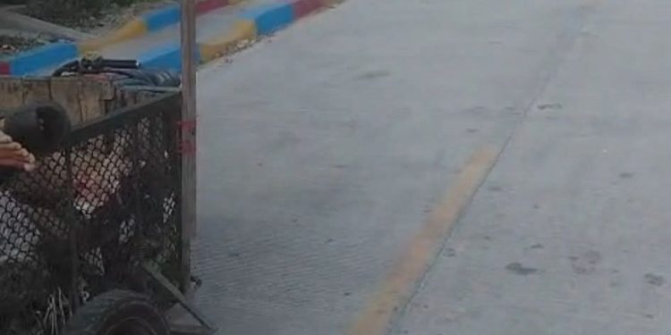 Tragedia en La Sierrita: hombre pierde la vida mientras defendía a su hijo