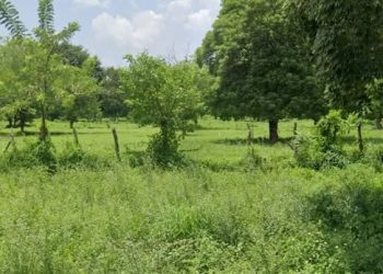 Autoridades investigan hallazgo de dos mujeres sin vida en zona enmontada de Malambo