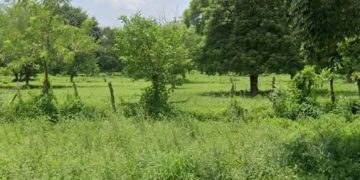 Autoridades investigan hallazgo de dos mujeres sin vida en zona enmontada de Malambo