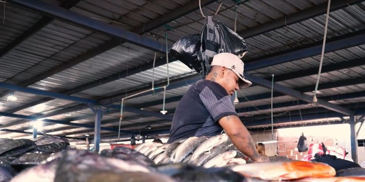 ¡Se dispara la venta de pescado! Plaza del Pescado proyecta 300 toneladas diarias en Semana Santa