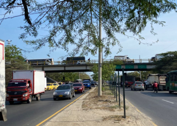 ¡Alerta estructural en el Puente de La Cordialidad! Ingeniero advierte riesgo de colapso