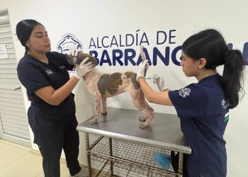 Con acompañamiento y atención integral, Distrito ratifica acciones para el bienestar de las personas y animales rescatados en predio intervenido