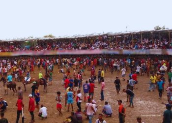 Procuraduría indaga si se cumplieron protocolos de seguridad en corralejas de Campo de la Cruz, Atlántico