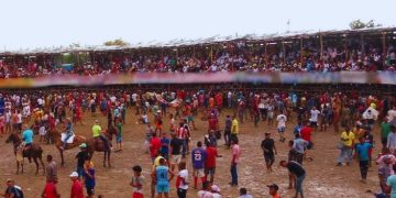 Procuraduría indaga si se cumplieron protocolos de seguridad en corralejas de Campo de la Cruz, Atlántico