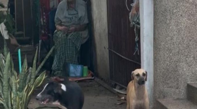 Mujer resultó herida por ataque de perros amarrados en el norte de Barranquilla