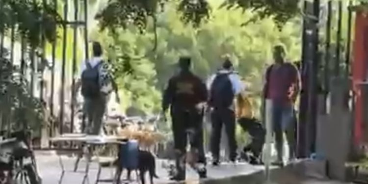 Estudiante herido en medio de alteraciones del orden público en la Universidad del Atlántico