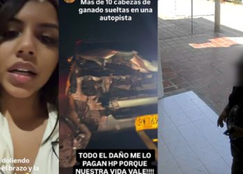 Polémica en Cesar: enfrentamiento por una vaca tras accidente de la cantante Natalia Curvelo