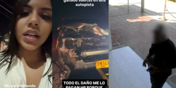Polémica en Cesar: enfrentamiento por una vaca tras accidente de la cantante Natalia Curvelo