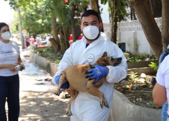 Rescatan más de 80 animales en Barranquilla: “Encontramos una realidad que duele”, afirma Ana María Aljure
