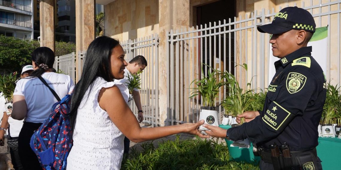 ¡Golpe al tráfico ilegal! Incautan 2.700 unidades de palma de cera en Barranquilla durante Semana Santa
