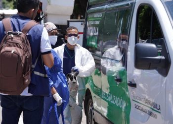 Rescatan 70 perros en operativo en el norte de Barranquilla: hallan basura y decenas de carritos de mercado