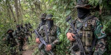 Alerta roja electoral en Magdalena: presencia del Clan del Golfo creció 653 % desde 2021