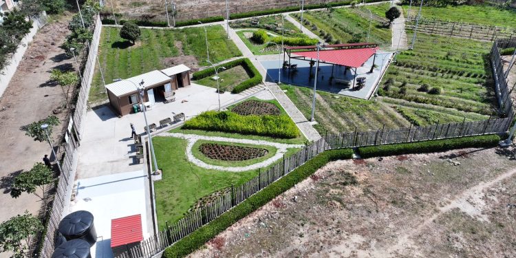 Alcaldía de Barranquilla impulsa en los barrios la siembra de frutas, hortalizas y plantas, se busca replicar huertas en toda la ciudad