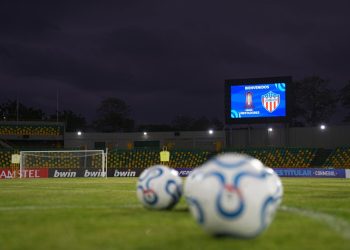 Junior vs Palmeiras: prueba de fuego en Cartagena para un Tiburón obligado a despertar