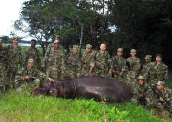 ¿Era necesario abatir a “Pepe”? El debate que sacudió al país