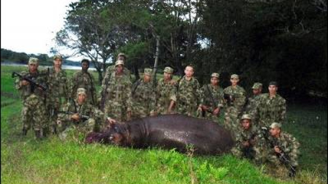 ¿Era necesario abatir a “Pepe”? El debate que sacudió al país