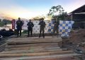 Armada Nacional incauta cerca de 287 metros cúbicos de madera en operativos contra la explotación ilegal