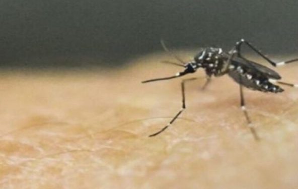 Muere niño de 6 años por dengue en Magdalena y enciende alerta sanitaria en 23 municipios