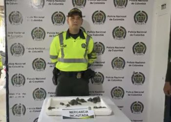 Autoridades incautan 40 hicoteas en Sabanagrande: un golpe al tráfico de fauna valorado en más de $280 millones