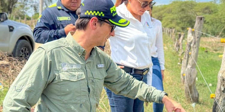Concejo de Barranquilla aprueba actualización de la política pública de salud mental