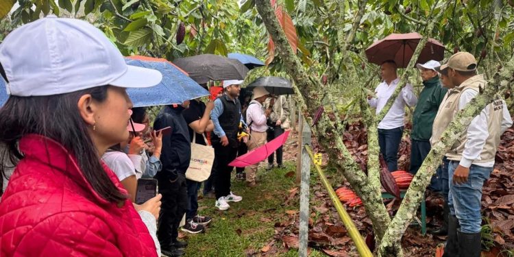 Colombia fortalece su posicionamiento internacional en sostenibilidad con café y cacao libres de deforestación