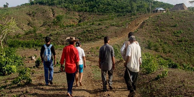 Procuraduría pide acelerar la restitución de tierras: quedan 5 años para cumplir la Ley de Víctimas