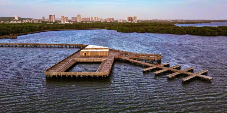 Ecoparque Ciénaga de Mallorquín, ejemplo de restauración ambiental en el Día de la Tierra