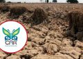 CAR advierte que el fenómeno de El Niño podría prolongarse hasta 2027 y elevar riesgos hídricos y energéticos en Colombia