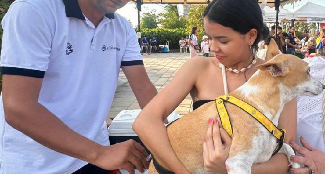 Barranquilla refuerza prevención de la rabia con vacunación gratuita para mascotas este sábado 9 de mayo