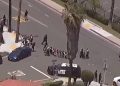 Ataque armado en mezquita de San Diego deja cinco muertos, incluidos los presuntos tiradores