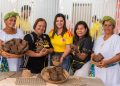 La fiesta de sabor, cultura y economía popular del Atlántico vuelve con el Festival del Pastel de Pital de Megua