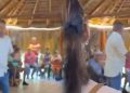 Campaña de Abelardo De La Espriella pide intervención de autoridades tras polémico video en Valledupar