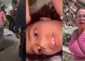 Rescatan con vida a niña que permanecía atrapada bajo los escombros tras los sismos en Venezuela