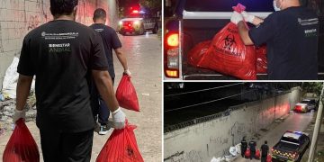 Consternación en Barranquilla: investigan brutal caso de dos perros que fueron quemados dentro de un costal