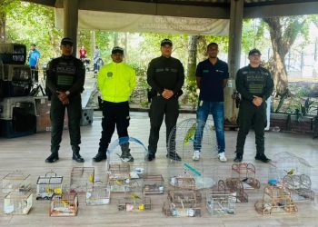 Desarticulan red de tráfico ilegal de fauna silvestre en Atlántico y Bolívar: rescataron 109 animales