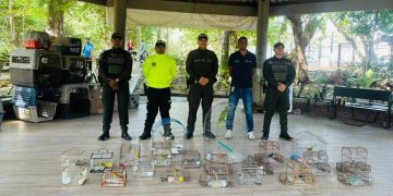 Desarticulan red de tráfico ilegal de fauna silvestre en Atlántico y Bolívar: rescataron 109 animales