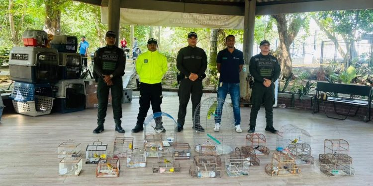 Desarticulan red de tráfico ilegal de fauna silvestre en Atlántico y Bolívar: rescataron 109 animales