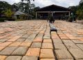 Golpe al narcotráfico: incautan 12,5 toneladas de marihuana en Puerto Asís, Putumayo