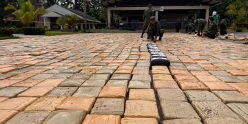 Golpe al narcotráfico: incautan 12,5 toneladas de marihuana en Puerto Asís, Putumayo