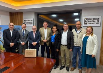 Gobierno electo acuerda plan para impulsar el cacao: proyectan sembrar 50.000 nuevas hectáreas