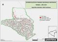 Greenpeace denuncia aumento de la deforestación en tres parques naturales de la Amazonía por ganadería ilegal