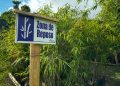 Histórico: Colombia implementa el primer registro nacional para bosques de guadua y bambú