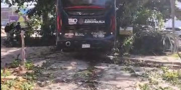 Bus de Transmetro perdió el control y chocó contra un árbol, un poste y una jardinera en Barranquilla