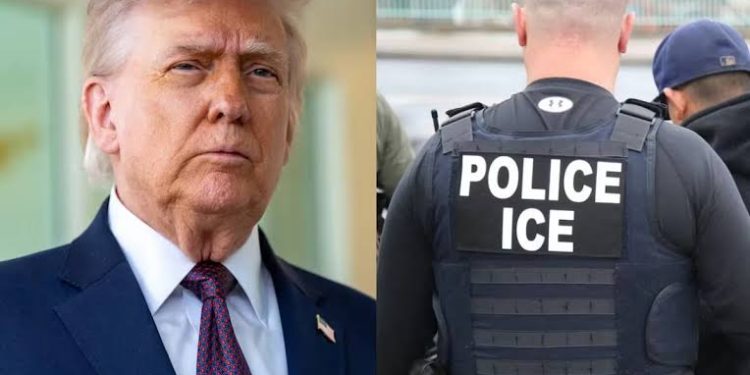 Trump defiende operativos de ICE tras muertes de migrantes: “Muchos son delincuentes y deben ser expulsados”